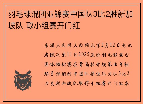 羽毛球混团亚锦赛中国队3比2胜新加坡队 取小组赛开门红
